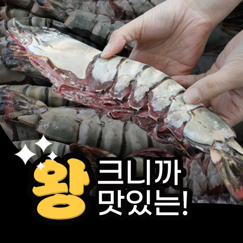 [1+1]자연산 킹타이거새우 1미 씨타이거새우 최대400g