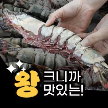 자연산 킹타이거새우 1미 씨타이거새우 최대400g
